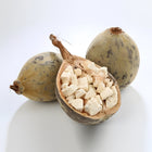 Adansonia Digitata (Baobab) Seed Oil