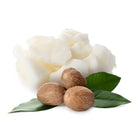 Shea Butter
