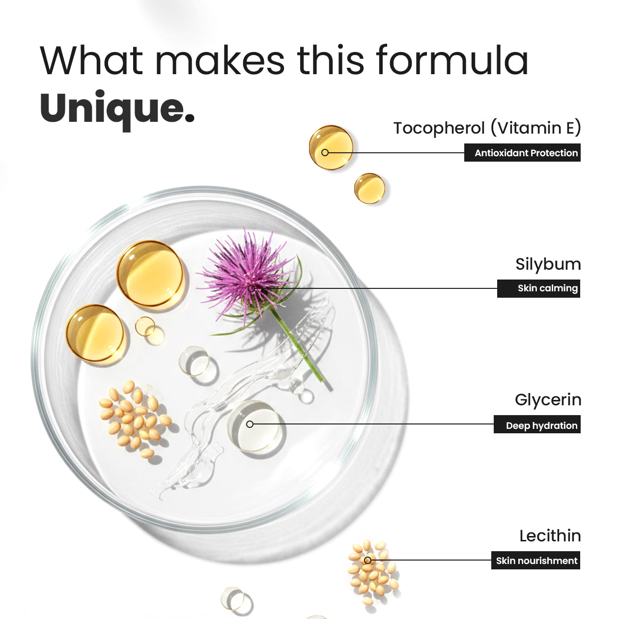 Anti Aging Serum Enriched with Tocopherol (Vitamin E)